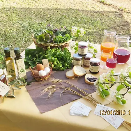 Agriturismo Profumo Di Natura Fivizzano