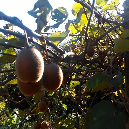 Feriegård Agriturismo Profumo Di Natura Fivizzano